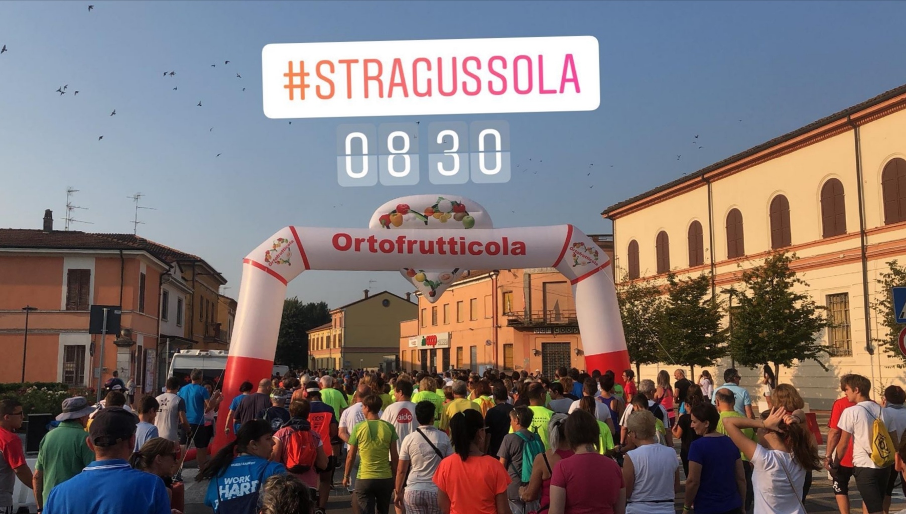 SraGussola 2019