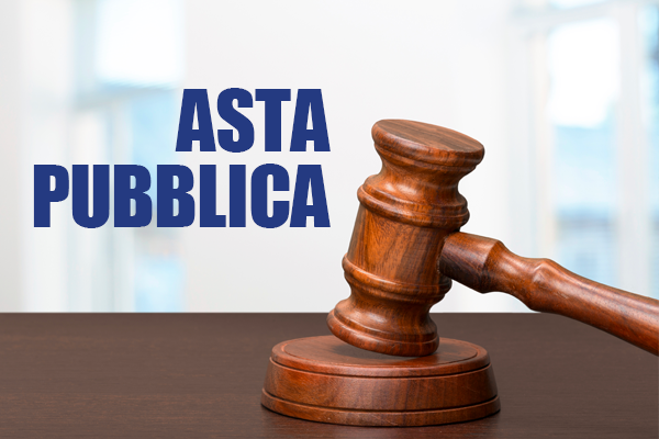 Immagine anteprima